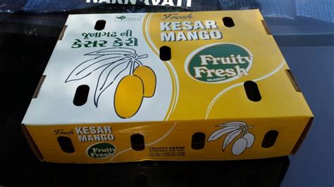 12 Piece Mango Box For Export At Rs 30piece Fruit Packaging Boxes