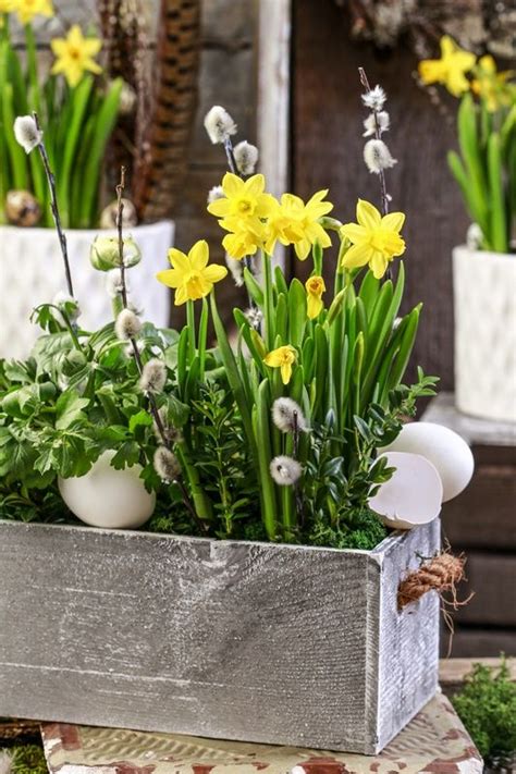 Harryanddavid.com has been visited by 10k+ users in the past month Spring Flower Arrangement Ideas from Your Yard - Town ...