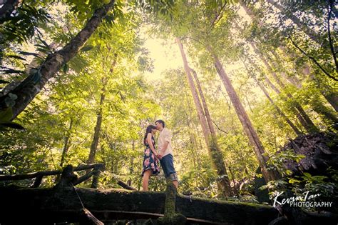 We did not find results for: Pre-wedding Shoot location - FRIM