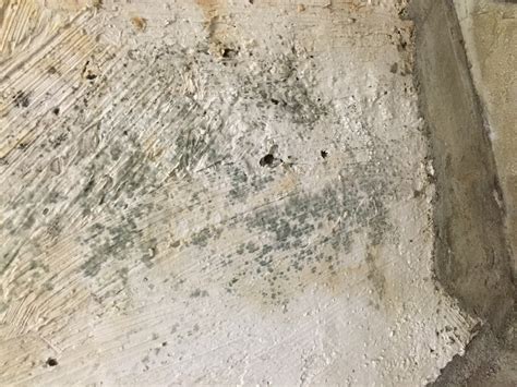 Removing mold from concrete foundation (cleaning, leaking, basement