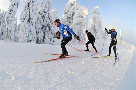 Möykky Ski Trail 17 Km Vuokatti Finland Cross Country Skiing