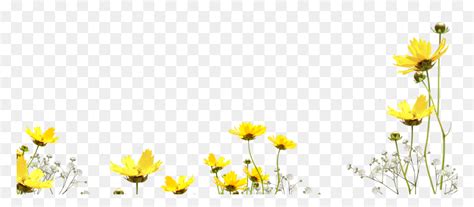 Here in this post, you'll get a free download link of the heart flower digital frames overlay compress file from below. Free Flower Photo Overlay, Photoshop Overlays From ...