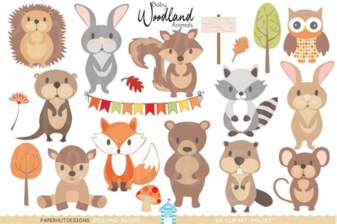 Baby Woodland Animals Clipart 398047