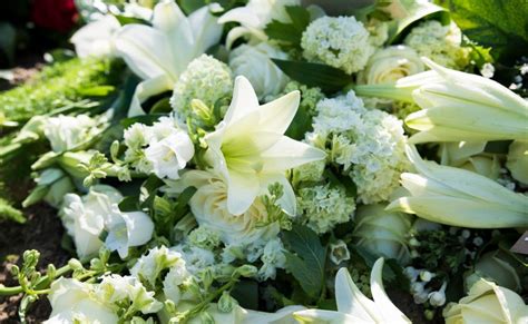 We did not find results for: Guide to Honoring Catholic Funeral and Burial Traditions