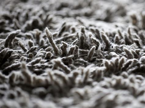Auf jeden fall soviel der flüssigkeit als möglich mit küchenpapier aufnehmen. Teppich reinigen: Das ist zu beachten | Liebenswert Magazin