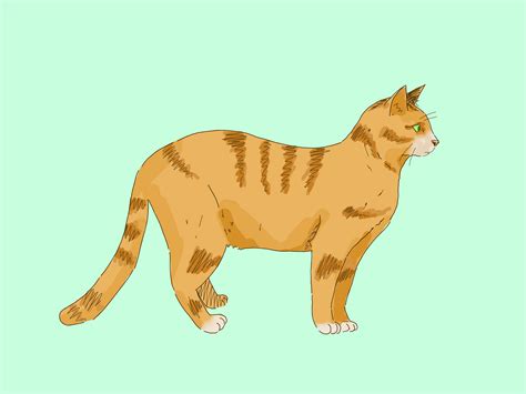 Anime cats are an entire genre of their own. رسم قط - wikiHow