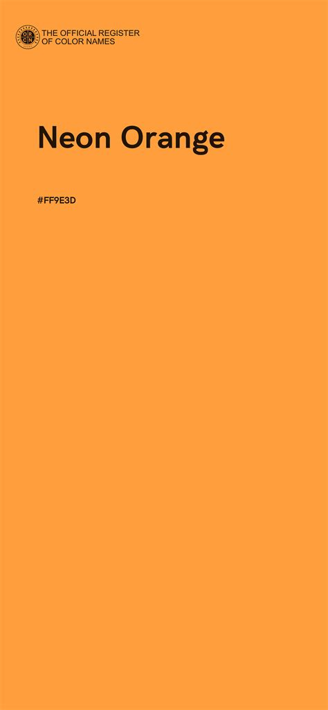 Neon Orange color - #FF9E3D - The Official Register of Color Names
