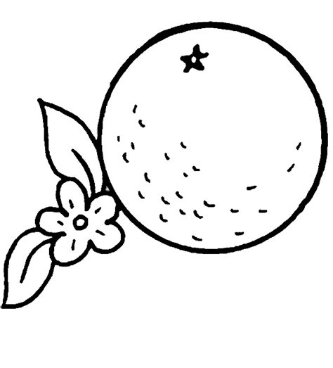 718 x 917 png 98 кб. Free Oranges Coloring Pages | Learn To Coloring
