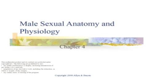 Free Download Male Sexual Anatomy And Physiology Powerpoint