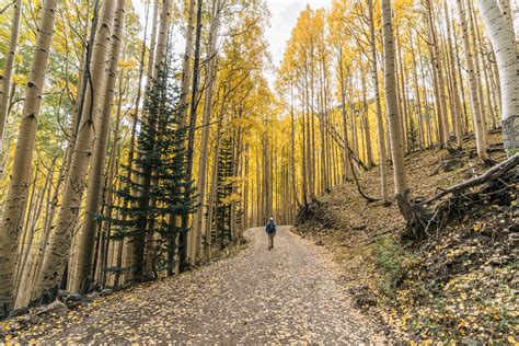 Hiking Inner Basin Via Lockett Meadow For Arizonas Best Fall Colors
