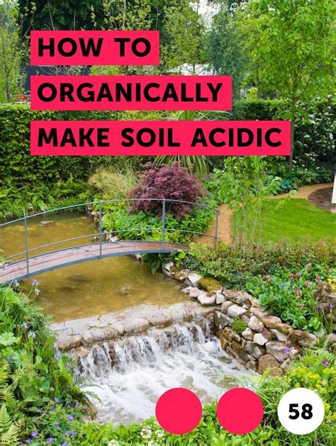 One of the most common natural ingredients used to acidify soil is vinegar. Pin on Gardening Basics