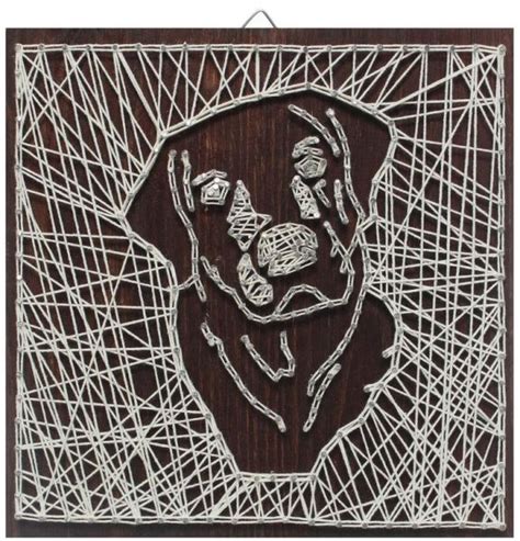 Diy dog photo string art. Dog String Art 30x30cm Unique Wall Décor Tableau : Buy ...