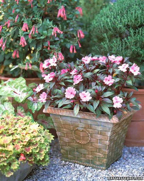 Check spelling or type a new query. Decorative Flowerpots and Planters | Martha Stewart