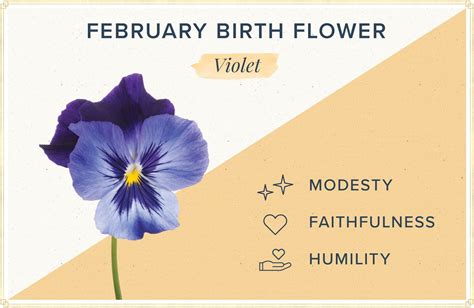 February Birth Flowers February Baby Birth Month Flowers Old English