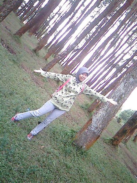 Untuk arah utara, desa setianegara berbatasan dengan desa cibeureum, dan di sebelah barat berbatasan langsung dengan hutan lindung gunung ciremai. meLancong: Wisata @ Kuningan, Jawa Barat