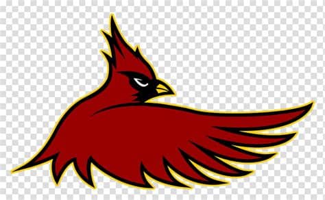 Louis cardinals, you could try the blendhes font. Stl Cardinals Logo Transparent