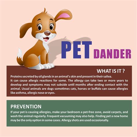 Pets Can Be A Major Source Of Allergy In Children Lets Understand How