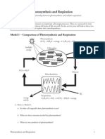 Cellular respiration breaking down energy worksheet. pogil cellular respiration-s | Cellular Respiration ...