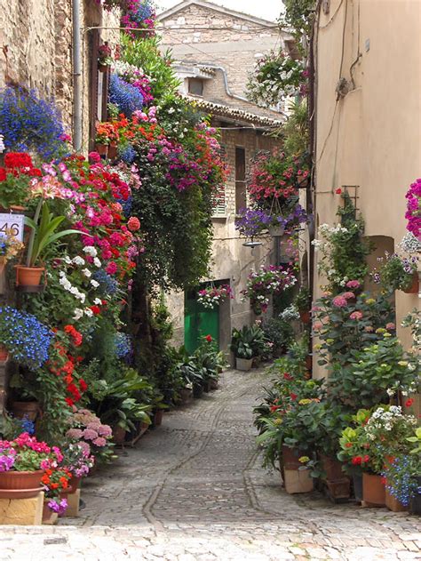 45 Of The Worlds Most Magical Streets Shaded By Flowers And Trees