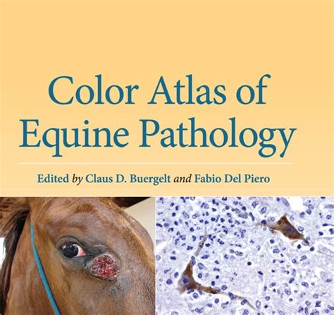 Color Atlas Of Equine Pathology