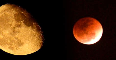 ¡la luna de sangre del hardmode! 'Luna de sangre', único eclipse observable en México en ...