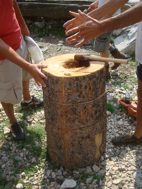 The survival of honey bee colonies in winter is important in beekeeping. Holzer Style Log Bee Hive (Sepp Holzer forum at permies)