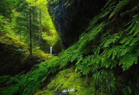 Top 15 From 2015 Pacific Northwest Landscape Photography