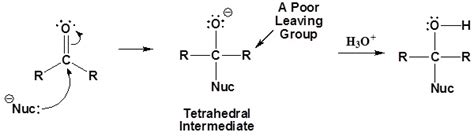177 General Mechanism For Nucleophilic Addition Elimination Reactions