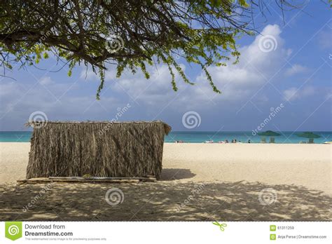 Eagle Beach On Aruba Stock Image Image Of Travel