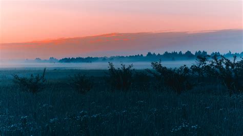 Download Wallpaper 3840x2160 Field Fog Dawn Grass Landscape Forest