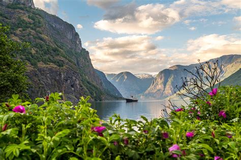 Fjord Wunderwelt Rund Um Flåm In Norwegen Norwegen