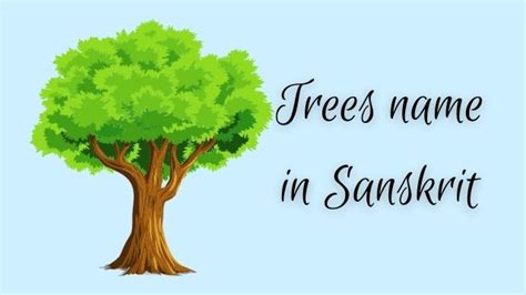 Trees Name In Sanskrit And Hindi