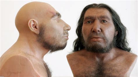Urzeit Neandertaler Urzeit Geschichte Planet Wissen