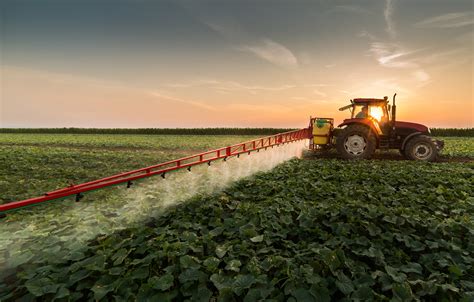 Tractor Spraying Pesticides On Vegetable Field With Sprayer At Spring Actagro
