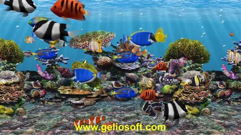 3d Fish School Aquarium Screensaver Tropical Fish Tank For Windows Hd Youtube