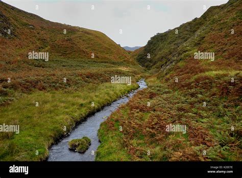 Moorland Habitat In Autumn With Stream Island Of Jura Scotlanduk