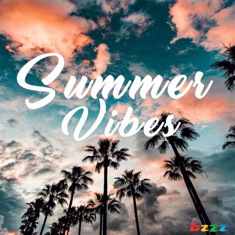 Summer Vibes Spotify Playlist