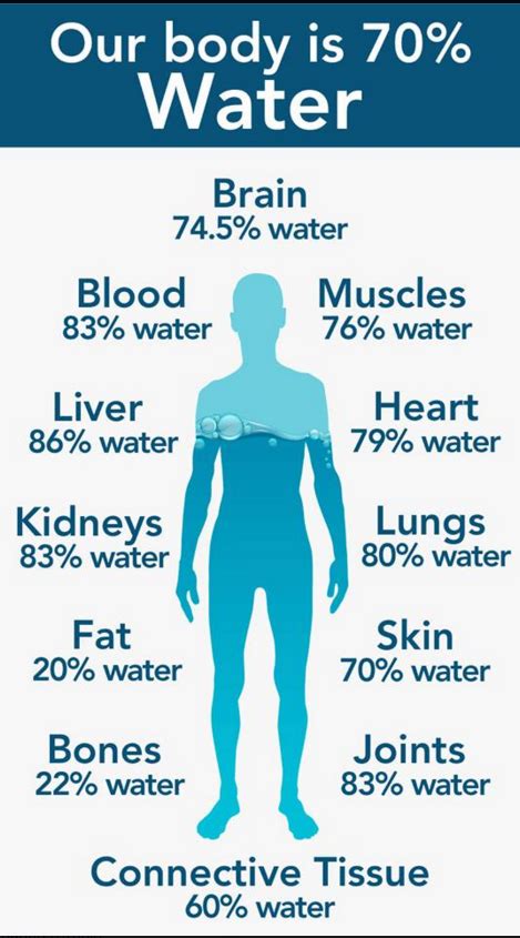 Jul 10, 2021 · 15 dollars an hour is how much a year? How much water should you drink? - Maine Senior Guide