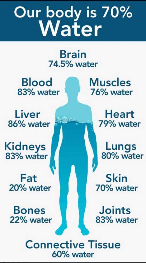 Plants also undergo the process of osmosis, in the same way that animals cells do. How much water should you drink? - Maine Senior Guide