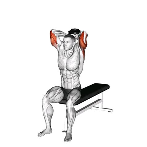 Dumbbell Tricep Extension Exercise How To Workout Trainer By Skimble