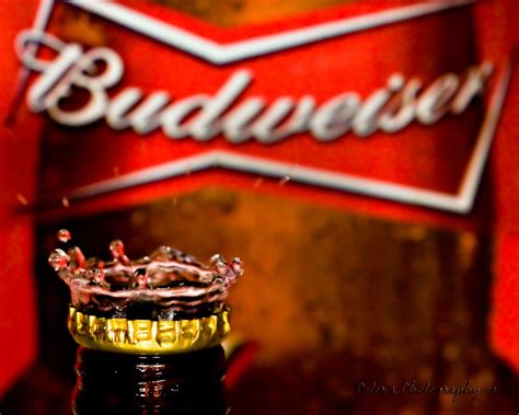 New Wallpaper 2011 Budweiser Wallpaper Budweiser Is Afalchi Free images wallpape [afalchi.blogspot.com]
