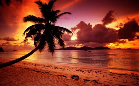 La Digue Island Seychelles ~ World Travel Destinations
