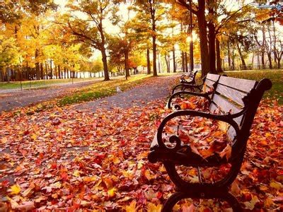 Browse through even more hd photos and videos: Beautiful Cool Wallpapers ~ Images Buzz
