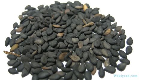 We are exporter of sesame seeds from bangladesh. 11 natural and home remedies for grey hair that work ...