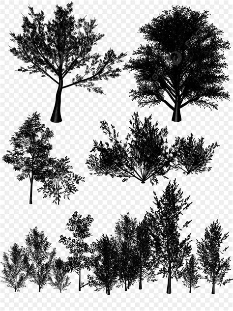 Big Trees Silhouette Vector Png Big Tree Silhouette Vector Material