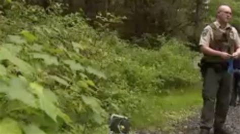 Cougar Kills Mountain Biker Wounds Another Near Seattle