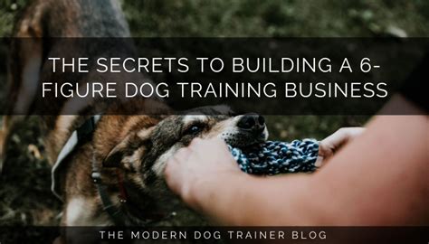 How Much Do Dog Trainers Make