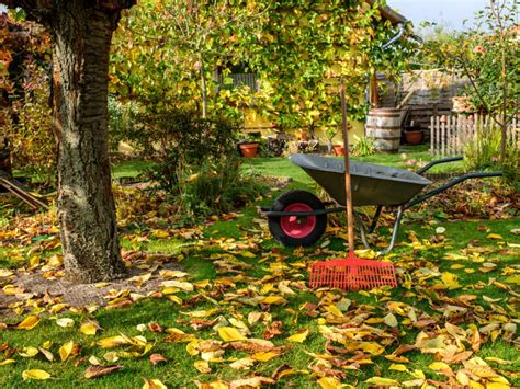 Beginners Guide To Fall Gardening Autumn Garden Tips And Projects