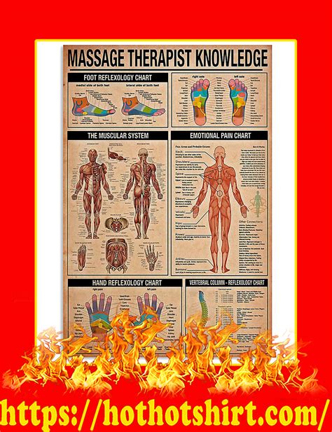 ™official Massage Therapist Knowledge Poster