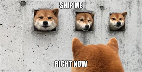 Image Tagged In The Doge Council Imgflip